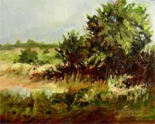 Arroyo Shelter landscape oil painting Hahamongna