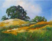 California poppy landscape