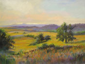 Wildflower Sunset San Luis Obispo Central Coast